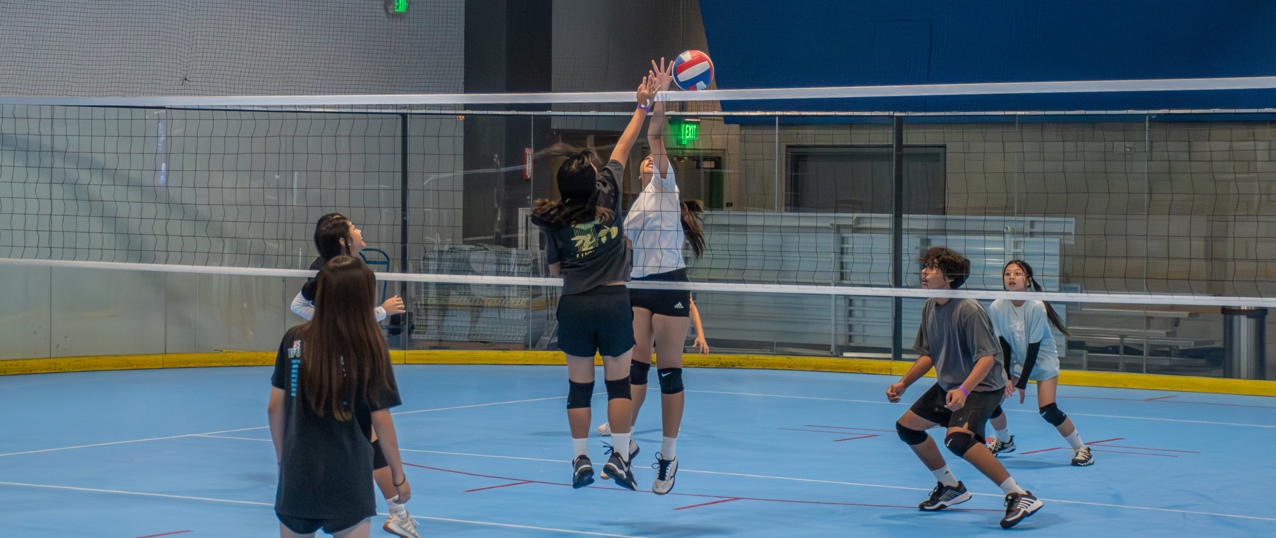 Volleyball