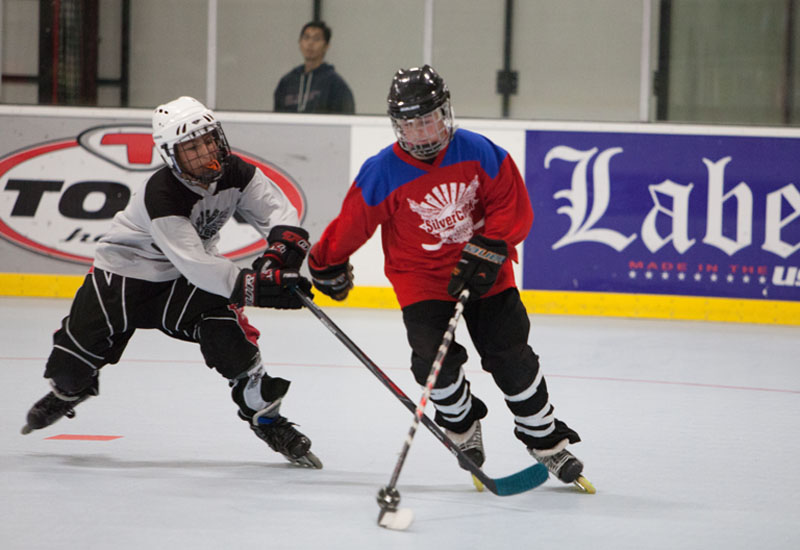 Roller Hockey Leagues Hockey Leagues in San Jose The Plex