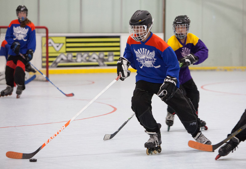Youth Recreational Roller Hockey Leagues in San Jose The Plex
